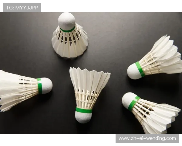 羽毛球几号耐打更适合长时间比赛使用？选购技巧与实用建议分析